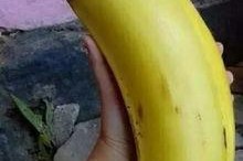 国产对白大香蕉