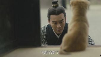 国产男人的天堂